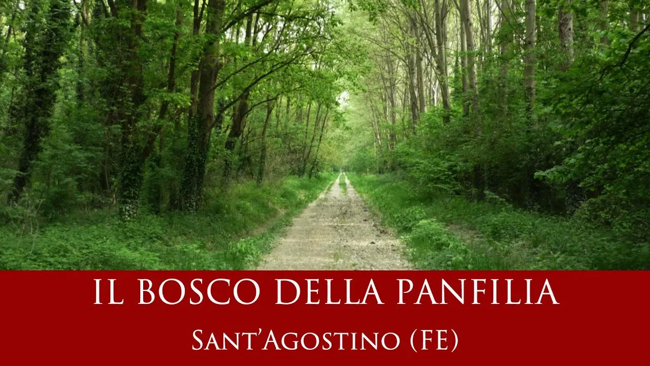 Panfilia Wood: Ferrara's Secret Truffle Forest and Hidden Nature Gem